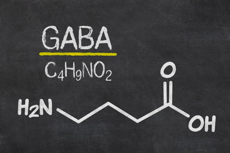 chemical structure of GABA